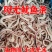 单冻鱿鱼条阿根廷鱿鱼条鱿鱼圈鱿鱼干冻无冰