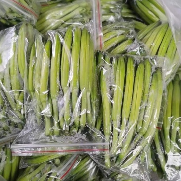 特菜野菜批发零售经销