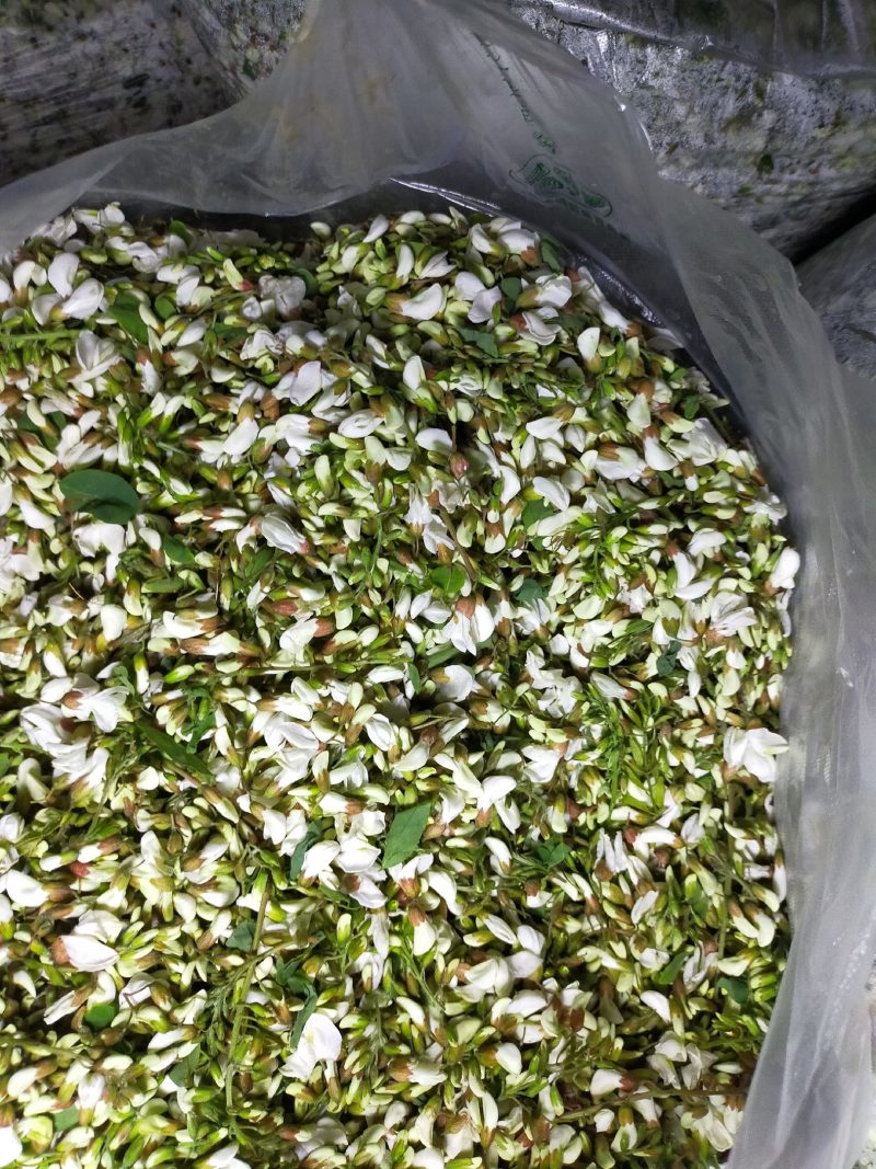 特菜野菜批发零售经销
