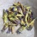 玉美人花茶天然纯虞美人干花龙胆草中药材美容女人龙胆花茶叶