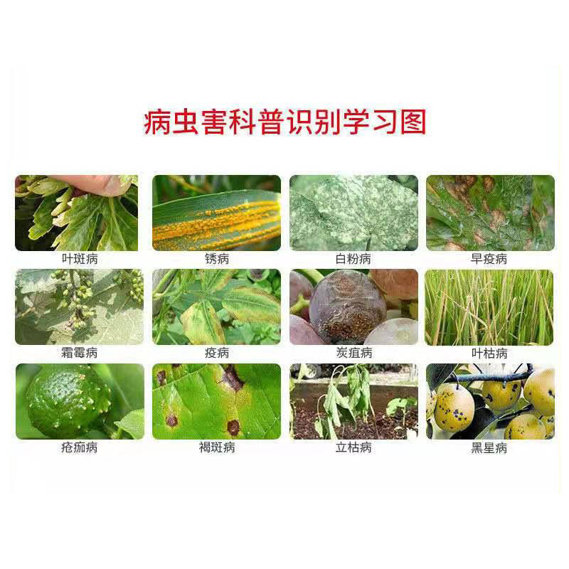 沪联苯甲吡唑酯苯醚甲环唑吡唑醚菌酯炭疽叶斑白粉杀菌剂农药