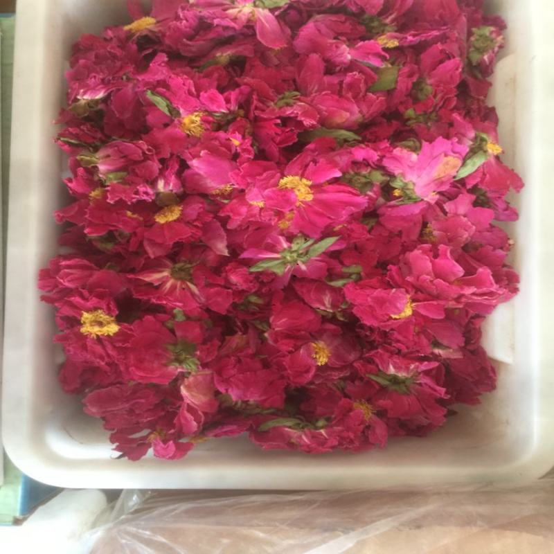 芍药花茶无硫干花茶重瓣药芍花红芍花勺药花正宗白芍花茶