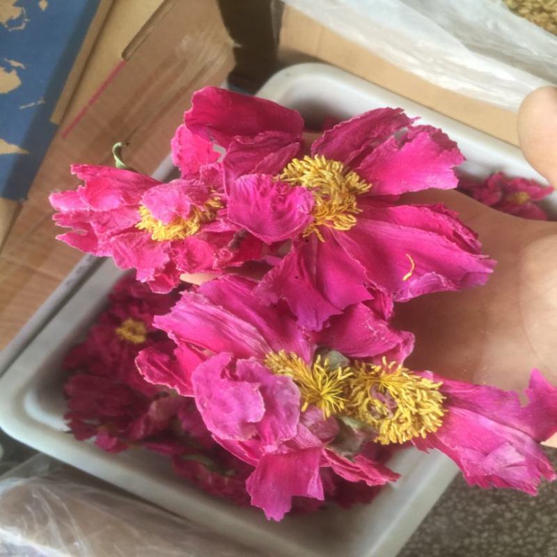 芍药花茶无硫干花茶重瓣药芍花红芍花勺药花正宗白芍花茶