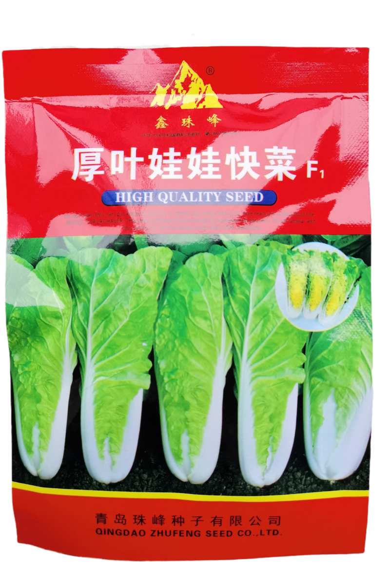 厚叶娃娃菜小白菜种子，耐高温湿热，速生抗病