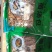 云南特产品(菌汤包、一朵鲜、菌汤煲）