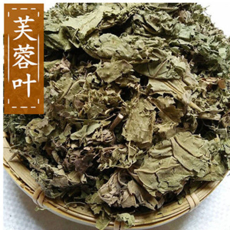 芙蓉叶木芙蓉叶产地直发量大货好代抓各种药方