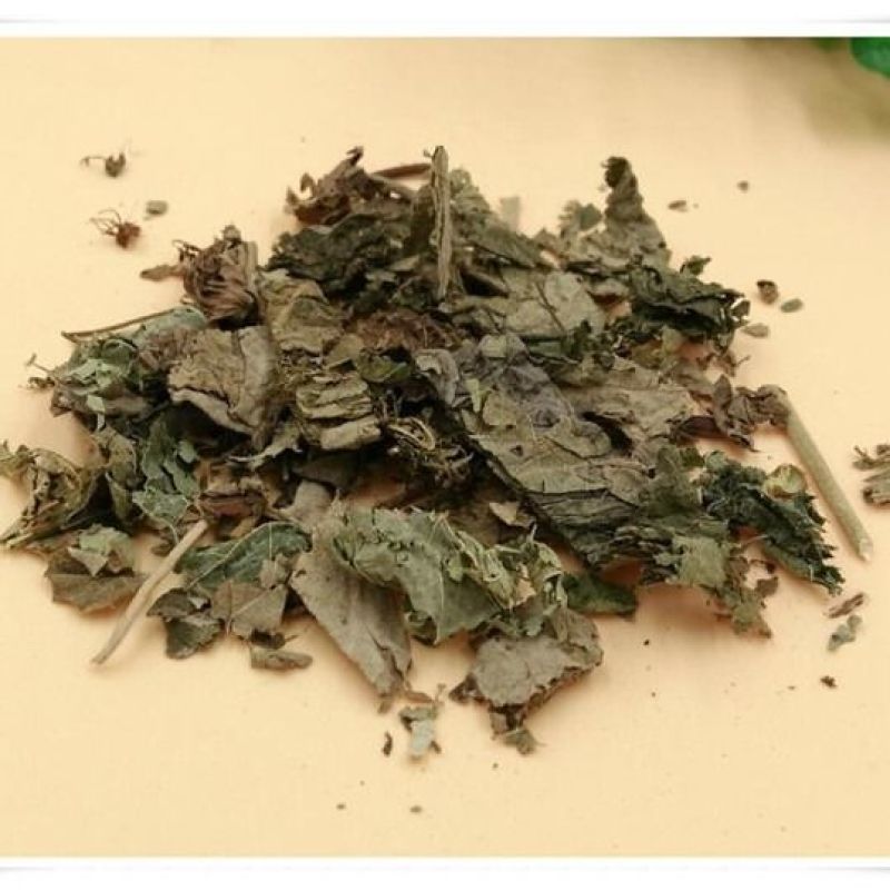 芙蓉叶木芙蓉叶产地直发量大货好代抓各种药方