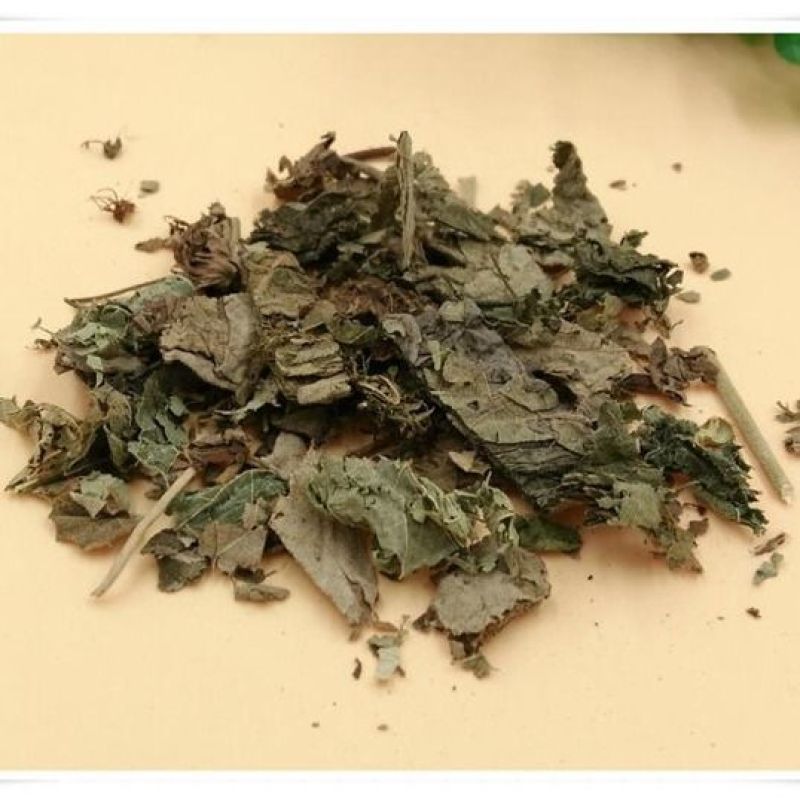 芙蓉叶木芙蓉叶产地直发量大货好代抓各种药方