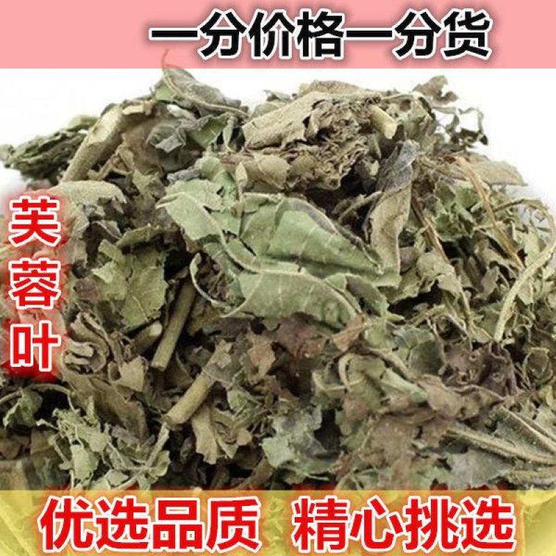 芙蓉叶木芙蓉叶产地直发量大货好代抓各种药方