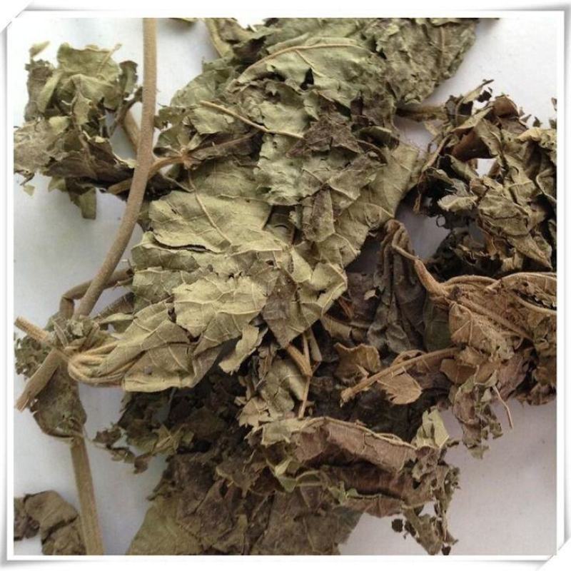 芙蓉叶木芙蓉叶产地直发量大货好代抓各种药方