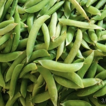 金堂新鲜豌豆荚，白豌豆