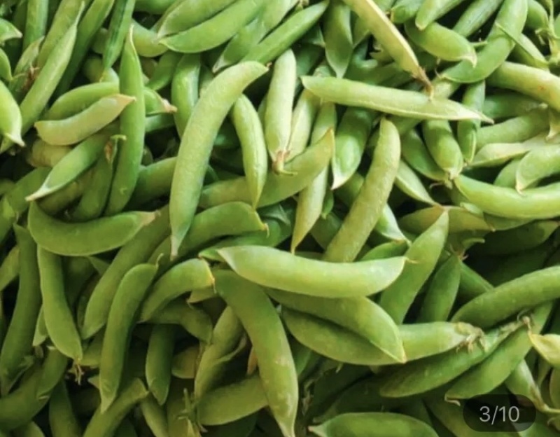 金堂新鲜豌豆荚，白豌豆