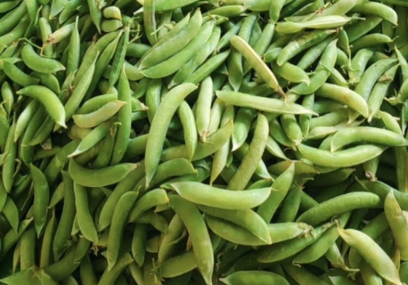 金堂新鲜豌豆荚，白豌豆