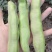 大青蚕豆特色蚕豆大量上市欢迎来电