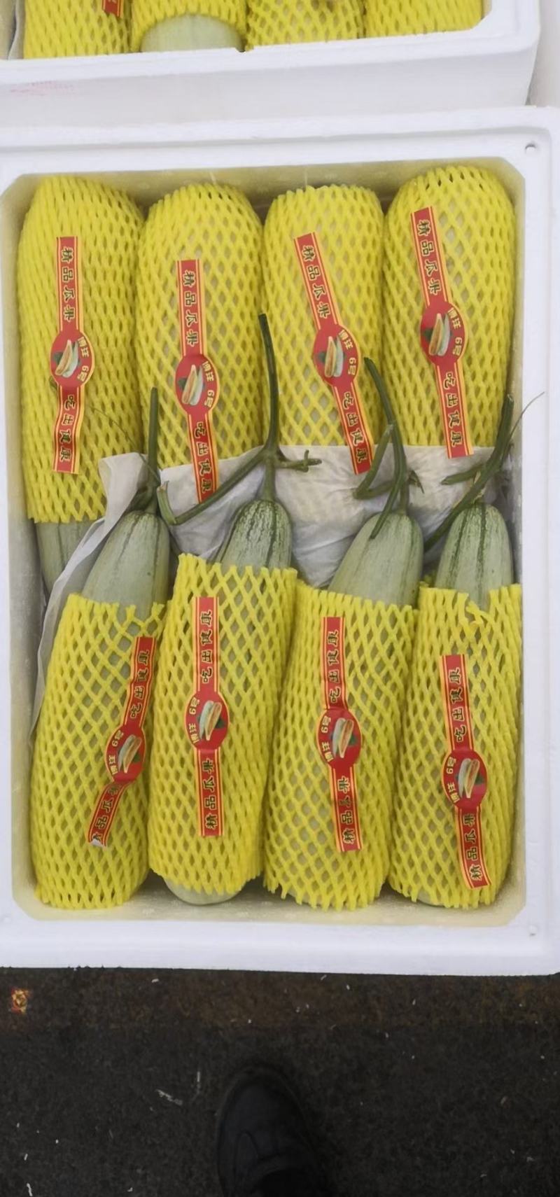 博洋甜瓜博洋9.61山东甜瓜皮薄肉脆产地货源价格
