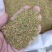 野生精品红芪种子，发芽率95%以上，质量保证