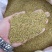 野生精品红芪种子，发芽率95%以上，质量保证