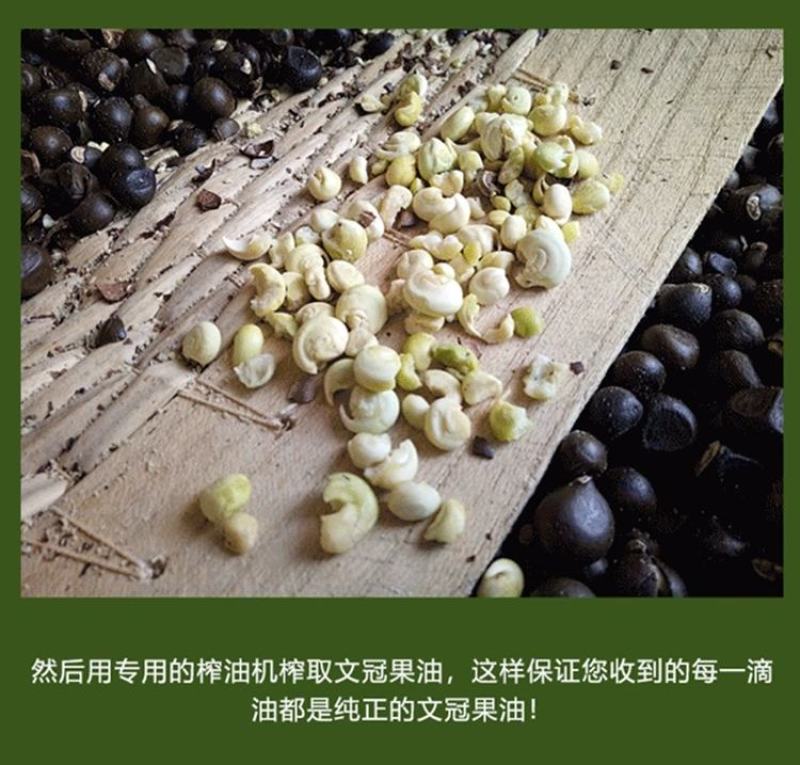 文冠果油文冠果种子