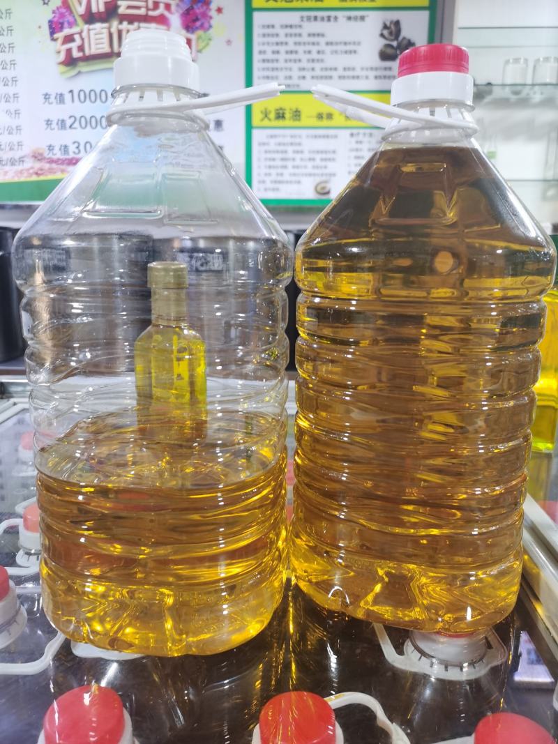 文冠果油文冠果种子