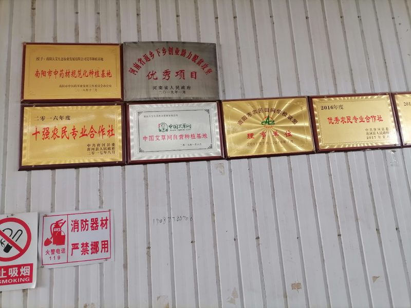 艾草艾叶粉：适合所有的动物饲料添加