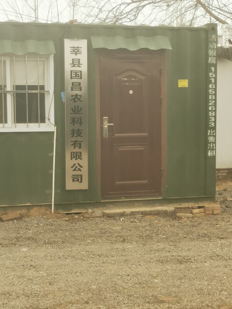 新鲜丰田香瓜大量上市肉嫩味甜价格美丽产地直销