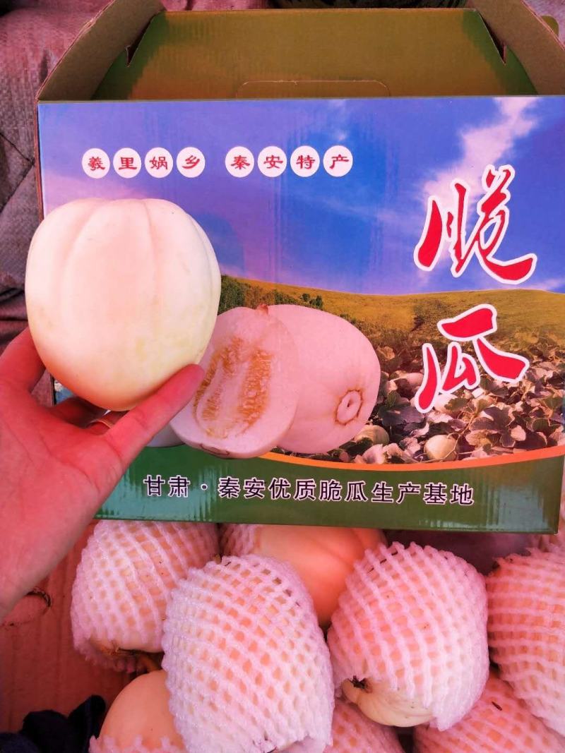 产地直销安家坪香瓜脆瓜甘肃省天水市秦安县（精品水果）