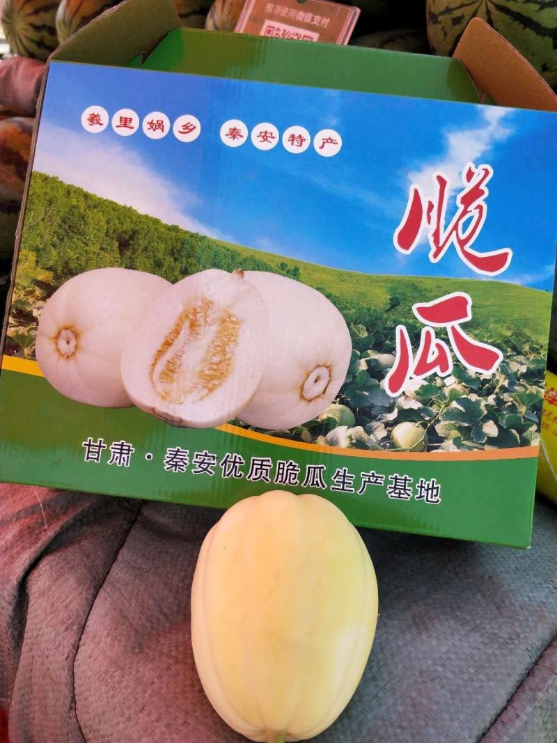 产地直销安家坪香瓜脆瓜甘肃省天水市秦安县（精品水果）