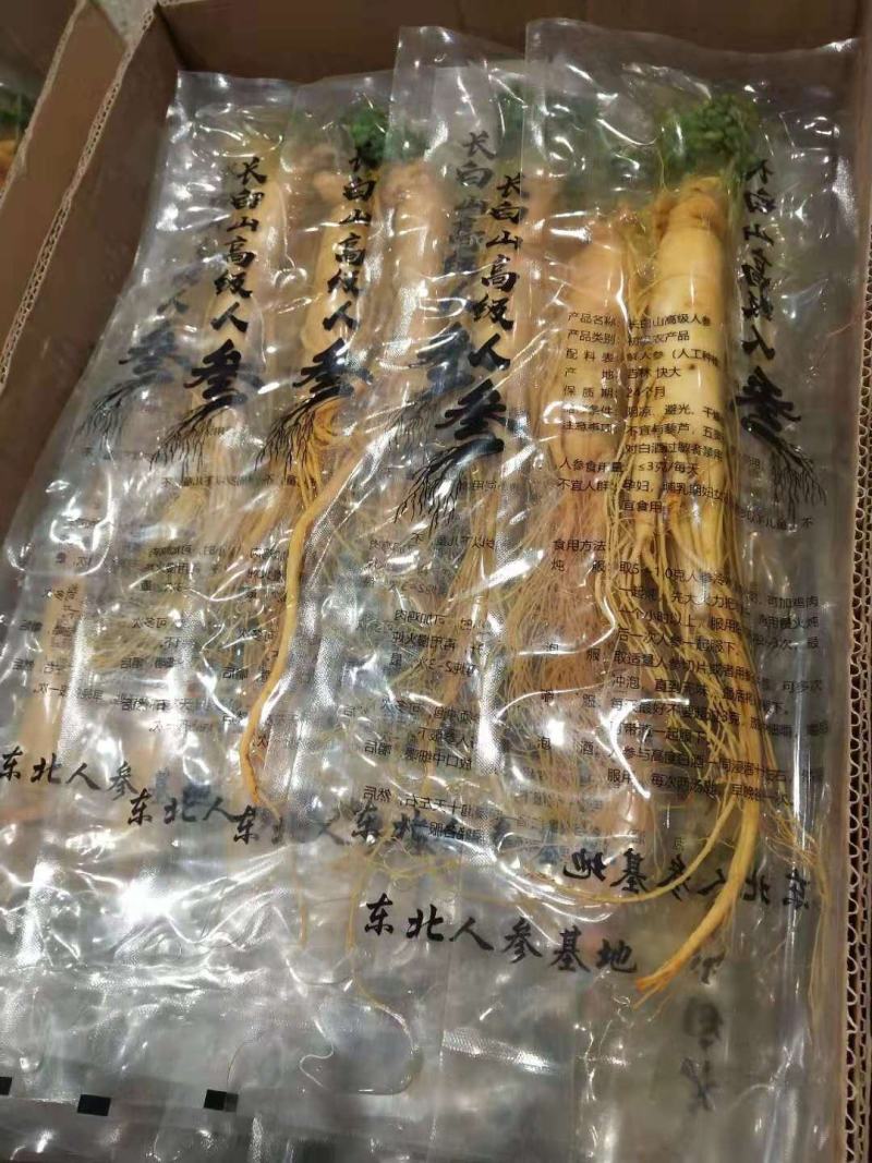 长白山人参，保鲜参，产地批发零售，长年供应