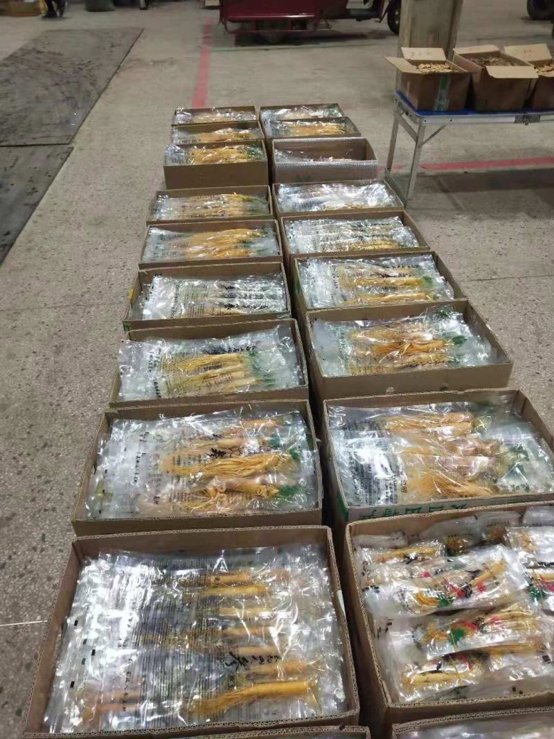 长白山人参，保鲜参，产地批发零售，长年供应