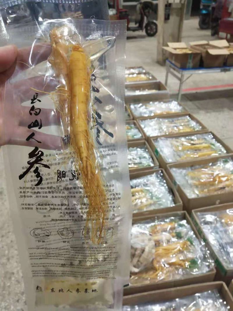 长白山人参，保鲜参，产地批发零售，长年供应