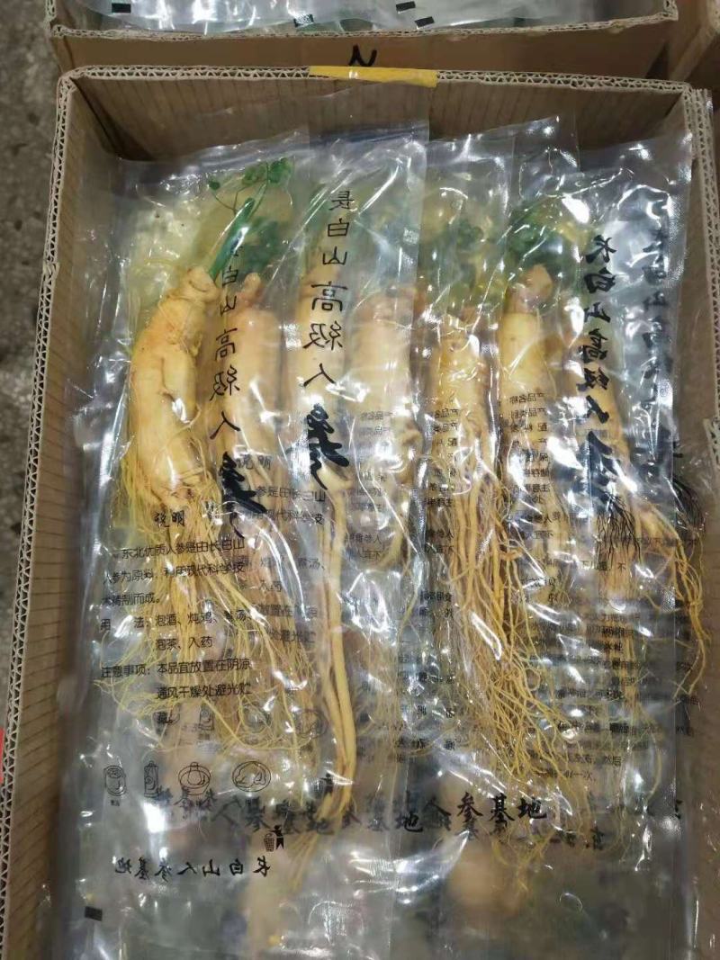 长白山人参，保鲜参，产地批发零售，长年供应