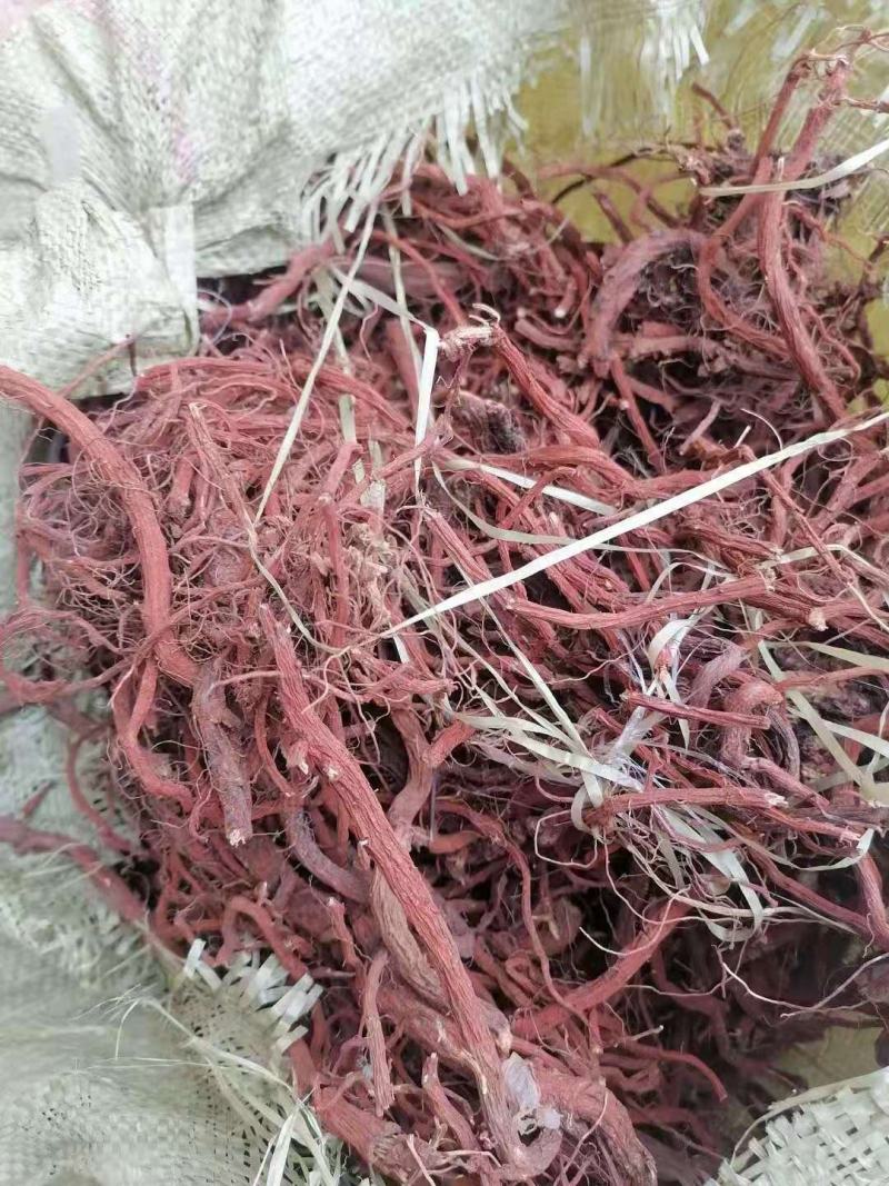 丹参干货，山东日照的一手货源，