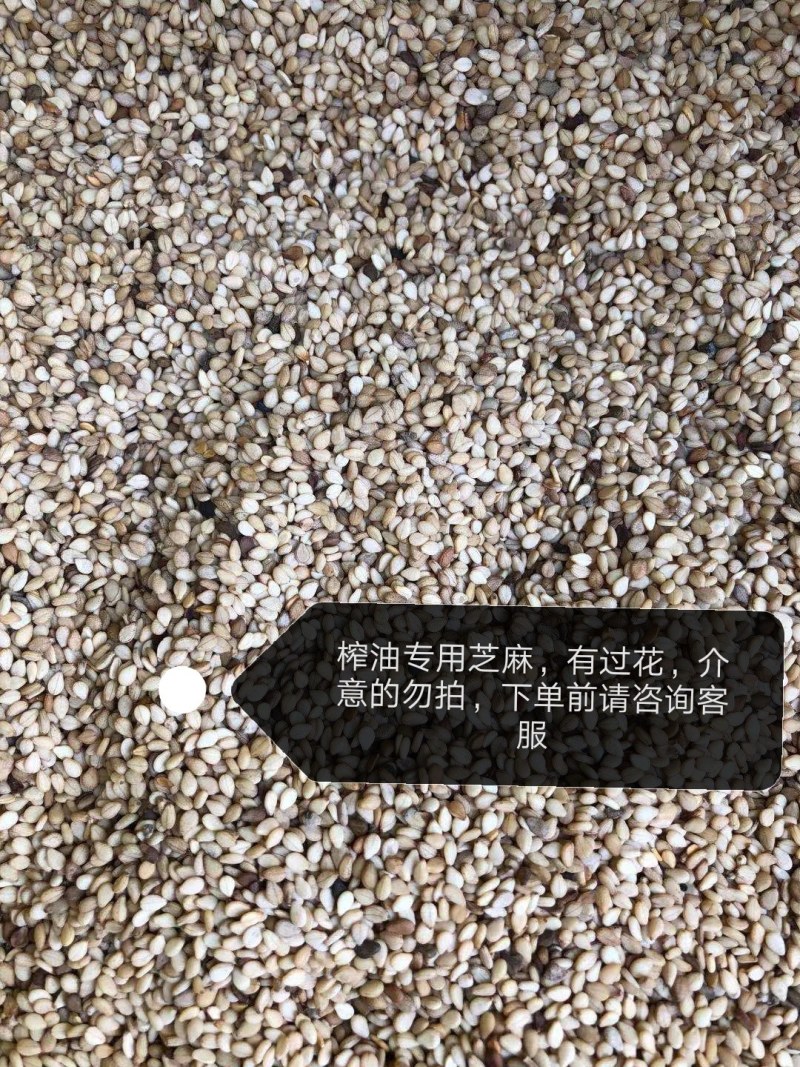 一级生白芝麻无杂质无沙石榨油专用磨酱熟芝麻出油率高