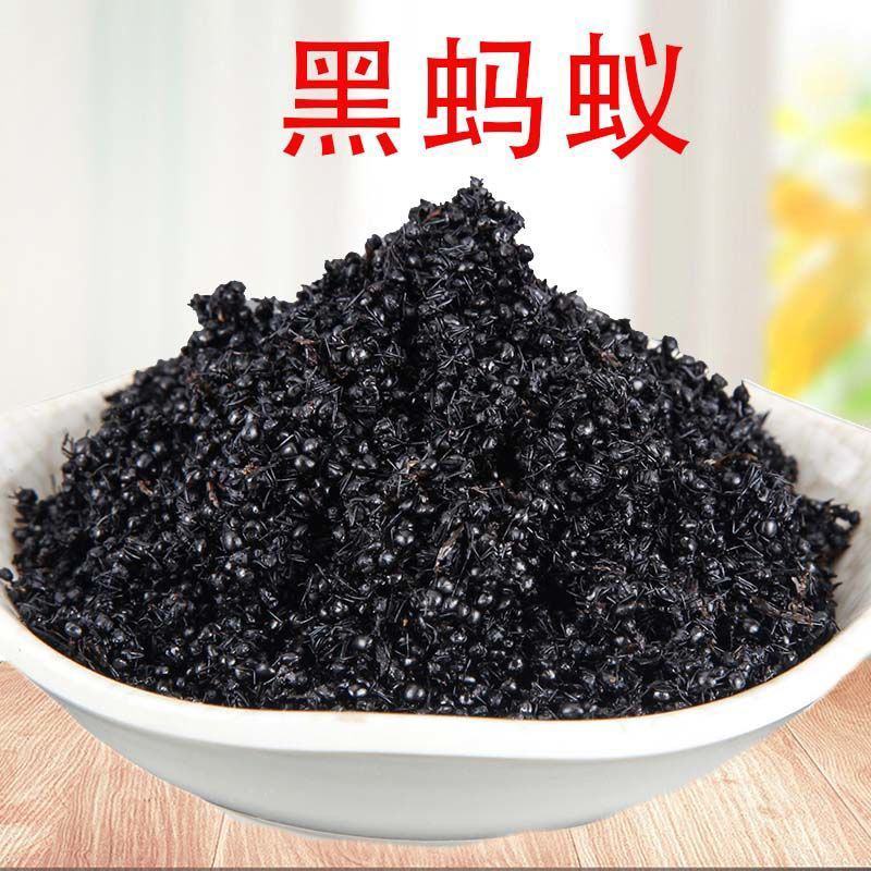 长白山黑蚂蚁袋装无杂质当天发货质保泡水药用