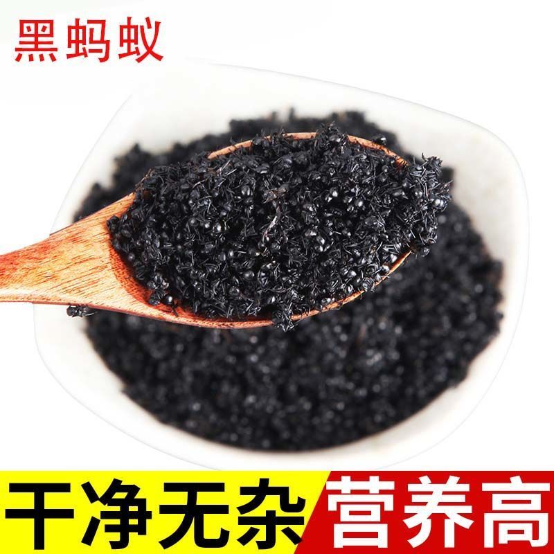 长白山黑蚂蚁袋装无杂质当天发货质保泡水药用