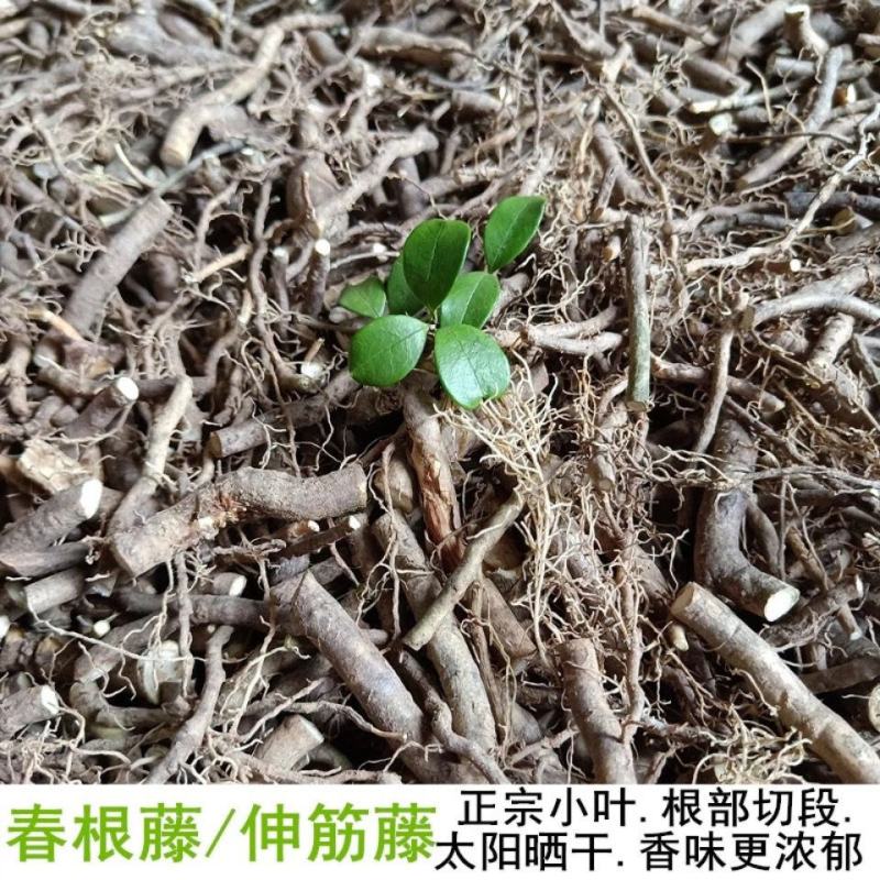 小叶春根藤春茎草春根草一捆50克煲汤补品。