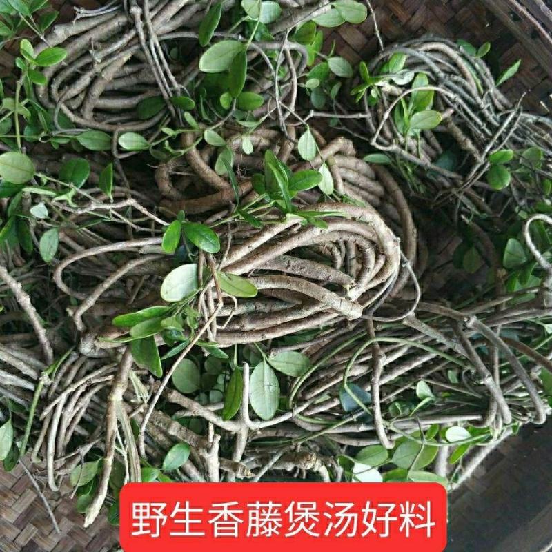 小叶春根藤春茎草春根草一捆50克煲汤补品。