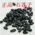 石莲子苦石楝产地山东代抓各种药方不满意可以退换货
