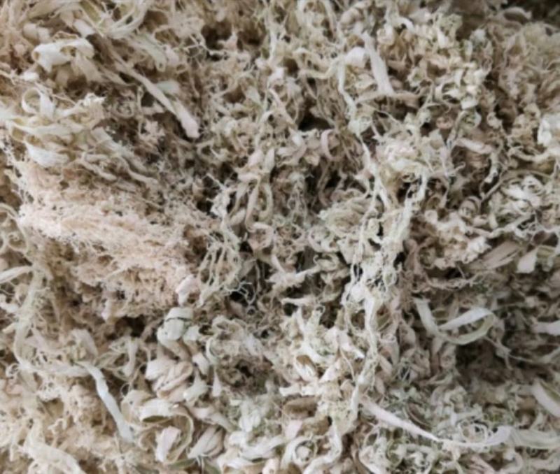 竹茹丝常年批发供应各种规格竹茹丝中药材量大从优