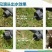【包邮】压力补偿滴头4升8升可拆式可清洗果园果树滴灌