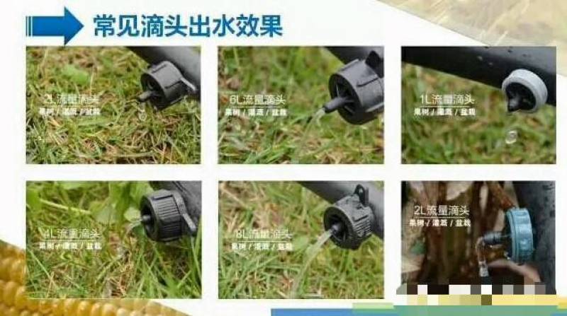 【包邮】压力补偿滴头4升8升可拆式可清洗果园果树滴灌