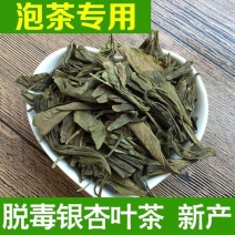 银杏茶干银杏叶茶叶特级天然纯正品炒制银杏叶片树叶泡茶
