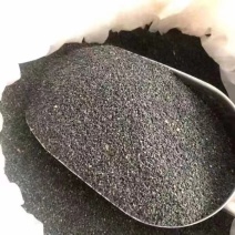 黄牛木虫屎茶，放了25年才过的筛。