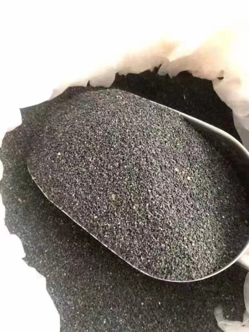 黄牛木虫屎茶，放了25年才过的筛。