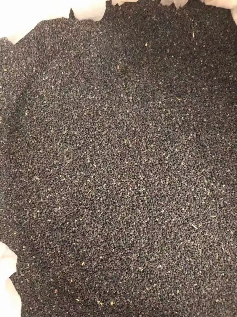 黄牛木虫屎茶，放了25年才过的筛。