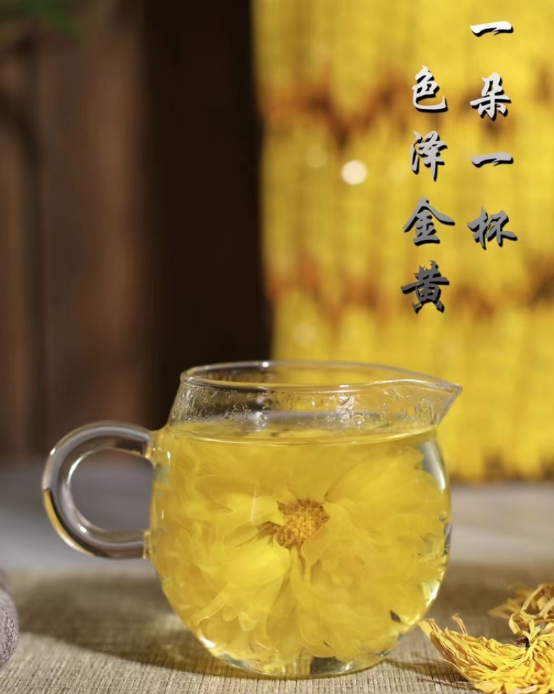金丝皇菊花茶一朵一杯特级大朵泡开10厘米以上支持线上交易