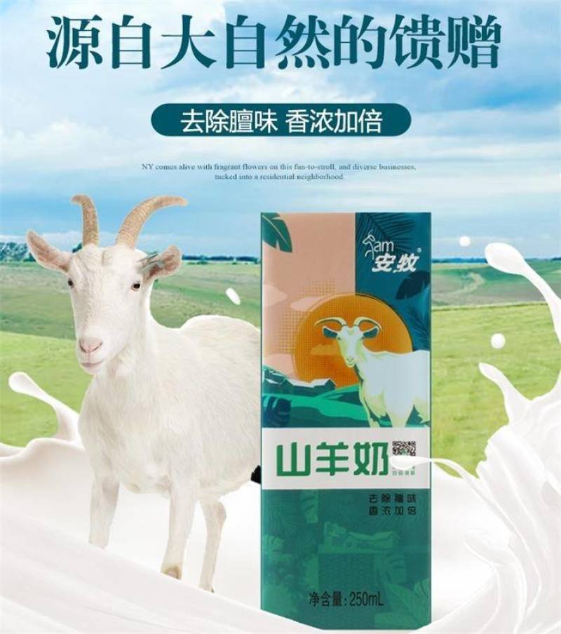 安牧山羊奶无菌脱膻沂蒙生羊乳新鲜250ml*1