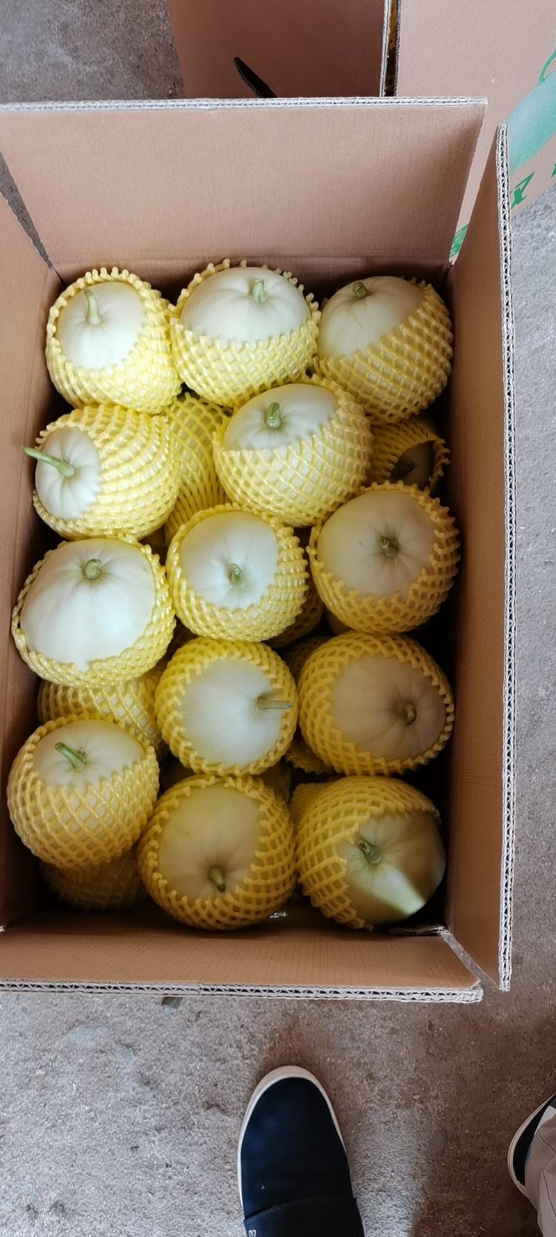 广西专卖各种规格水果网套一袋起批，全国整车发货