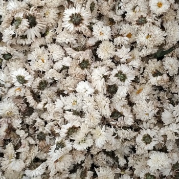 无花果茶100克/500克包邮子露生物科技