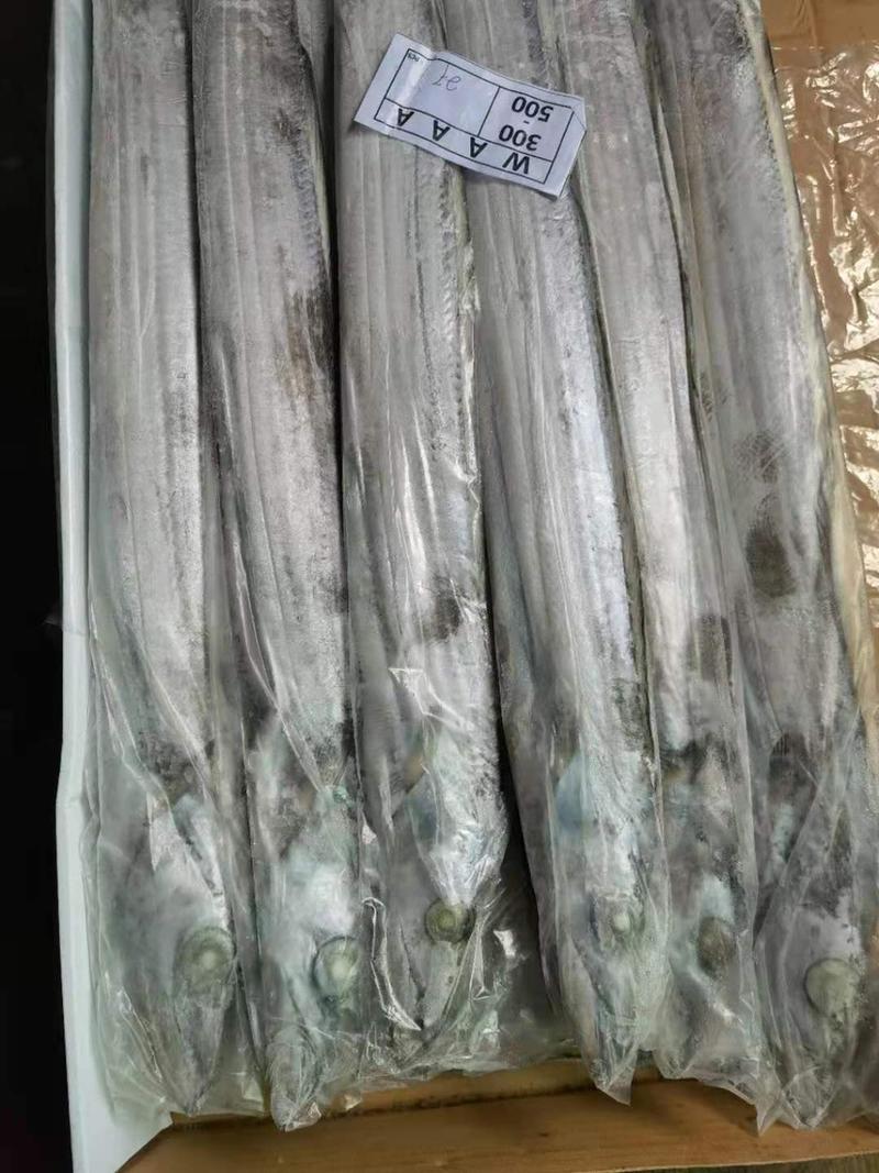 印尼钓带鱼300-500500-700全国冷链物流配送